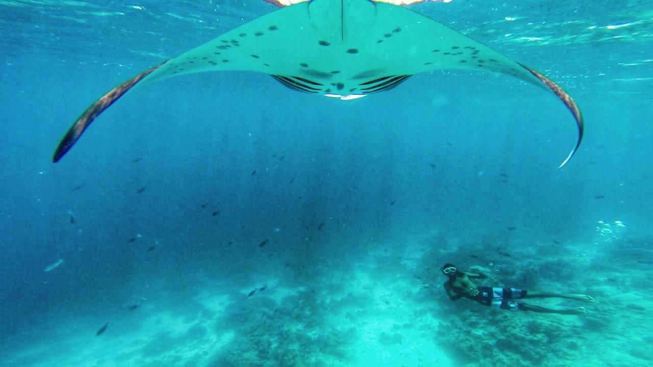 Noovilu Suites Maldives Mahibadhoo Cameră foto
